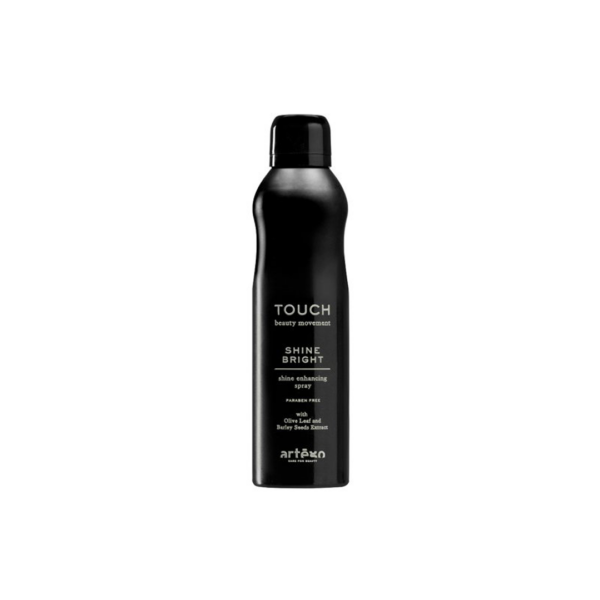 TOUCH Shine Brite 250ml